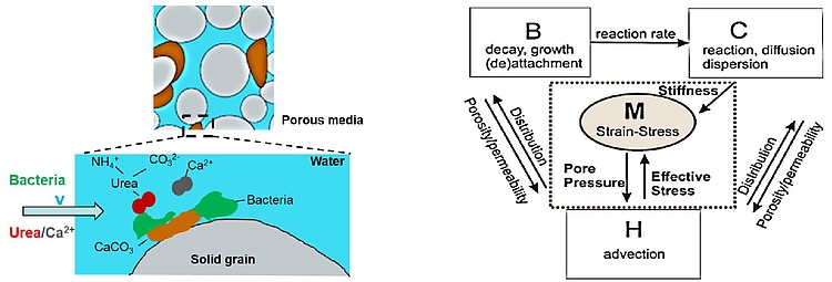 Figures: Schematic view of the relevant processes in MICP (left) and the BCHM couplings (right)