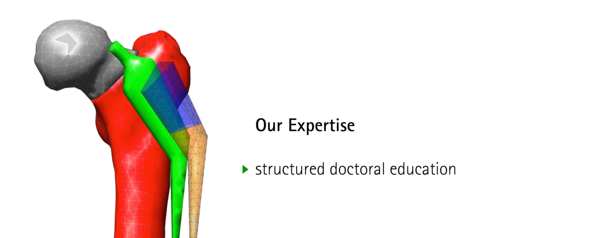 Our expertise: structured doctoral education. Figure of a finite element model of a hip prosthesis
