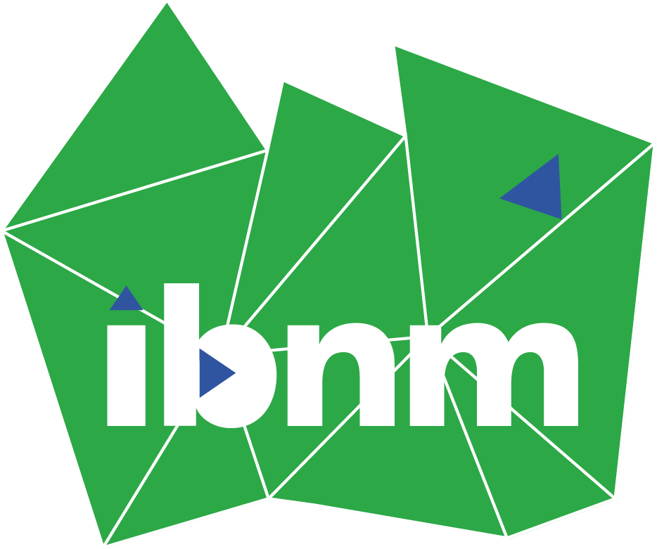 Logo Institute for Mechanics and Computational Mechanics